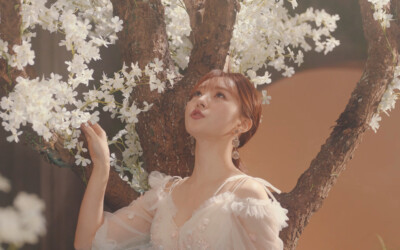 Sua Dreamcatcher Boca