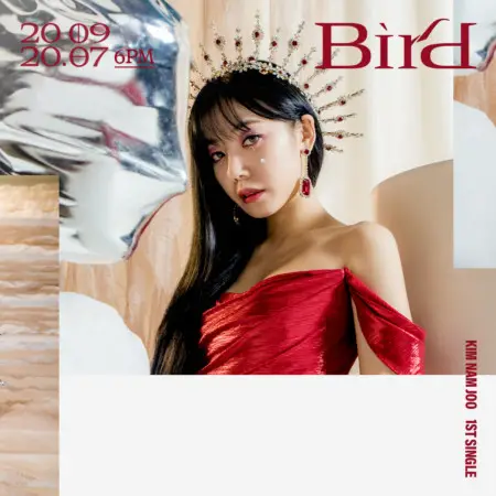Namjoo Bird Teaser