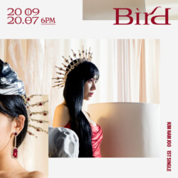 Namjoo Bird Teaser
