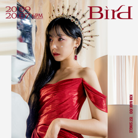 Apink Namjoo Bird Teaser Resist Namjoo Bird Teaser