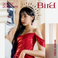 Namjoo Bird Teaser