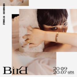 Namjoo Bird Teaser