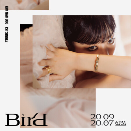 Apink Namjoo Bird Teaser Restrained Namjoo Bird Teaser
