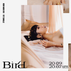 Namjoo Bird Teaser