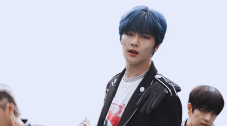 Stray Kids IN Back Door