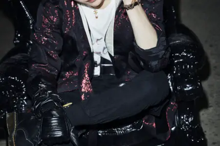 Stray Kids Bang Chan In Life / Back Door Concept Stray Kids Bang Chan In Life Concept