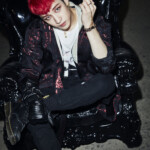 Stray Kids Bang Chan In Life / Back Door Concept Stray Kids Bang Chan In Life Concept