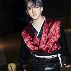 Stray Kids Changbin In Life / Back Door Concept Stray Kids Changbin In Life Concept