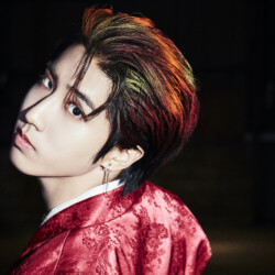 Stray Kids Han In Life / Back Door Concept Stray Kids Han In Life Concept