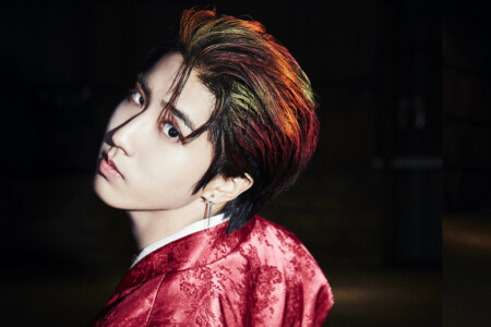 Stray Kids Han In Life / Back Door Concept Stray Kids Han In Life Concept