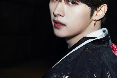 Stray Kids Lee Know In Life / Back Door Concept Stray Kids Lee Know In Life Concept