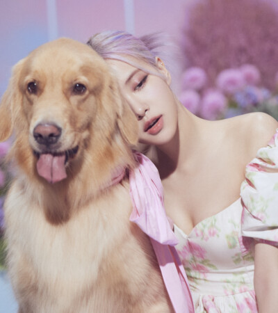 Blackpink Rose Ice Cream Blackpink Ice Cream Rose