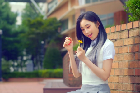 Cignature Chaesol Arisong