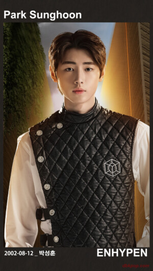 Enhypen Sunghoon Profile Card Enhypen Sunghoon Profile Card