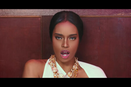 Blackswan Fatou