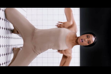Blackswan Fatou