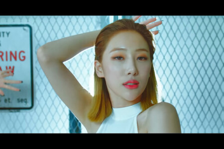 Blackswan Hyeme