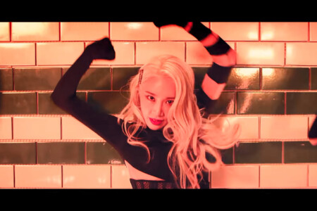 Blackswan Youngheun