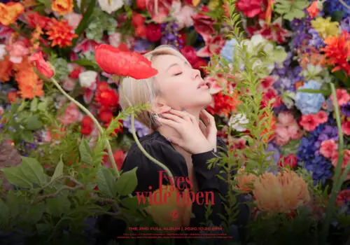 TWICE Eyes Wide Open Chaeyoung Teaser Story TWICE Eyes Wide Open Chaeyoung Teaser Story