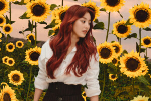TWICE Jihyo Better Jihyo TWICE Better