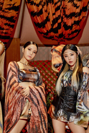 Mamamoo Travel - Aya Concept Group Mamamoo Travel - Aya Concept Group