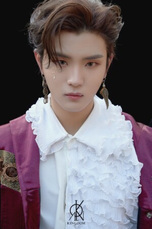 Kingdom Chiwoo Excalibur Concept Kingdom Chiwoo