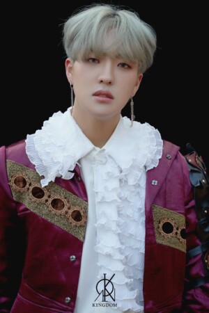 Kingdom Louis Excalibur Concept Kingdom Louis