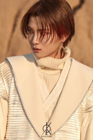 Kingdom Chiwoo Excalibur Concept Kingdom Chiwoo