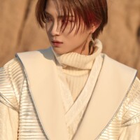 Kingdom Chiwoo Excalibur Concept Kingdom Chiwoo