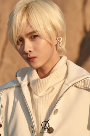 Kingdom Ivan Excalibur Concept Kingdom Ivan