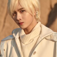 Kingdom Ivan Excalibur Concept Kingdom Ivan