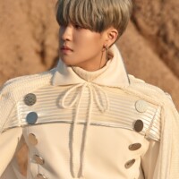 Kingdom Louis Excalibur Concept Kingdom Louis