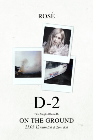 Blackpink Rose On The Ground Poster Blackpink Rose On The Ground Poster