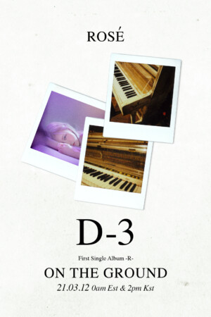 Blackpink Rose On The Ground Poster Blackpink Rose On The Ground Poster