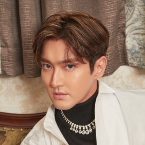 Super Junior Siwon The Renaissance Concept Super Junior Siwon The Renaissance Concept