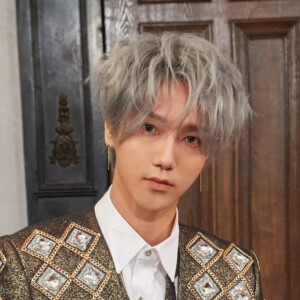 Super Junior Yesung The Renaissance Concept Super Junior Yesung The Renaissance Concept