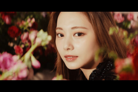 Kura Kura Tzuyu