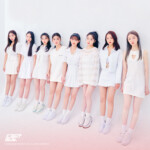 Lightsum Profile Group Lightsum Profile Group