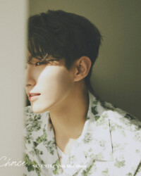 Seventeen DK Your Choice