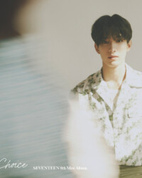 Seventeen DK Your Choice