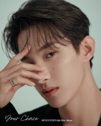 Seventeen DK Your Choice