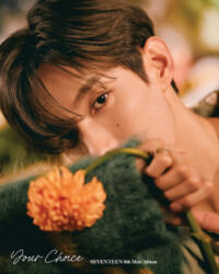 Seventeen DK Your Choice