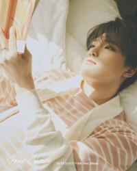 Seventeen Dino Your Choice