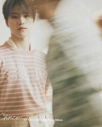 Seventeen Dino Your Choice