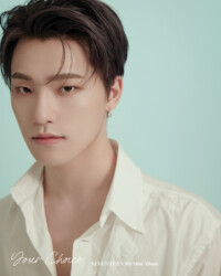 Seventeen Dino Your Choice