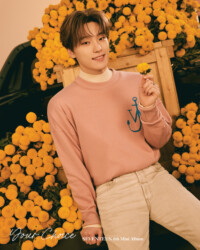 Seventeen Dino Your Choice
