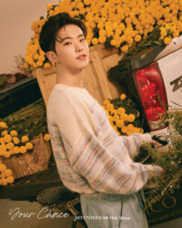 Seventeen Hoshi Your Choice