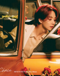 Seventeen Jeonghan Your Choice