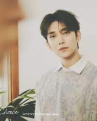 Seventeen Joshua Your Choice