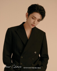 Seventeen Joshua Your Choice